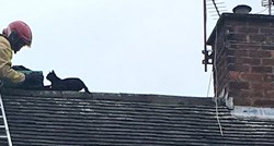 Maca avanturistica zapela na krovu